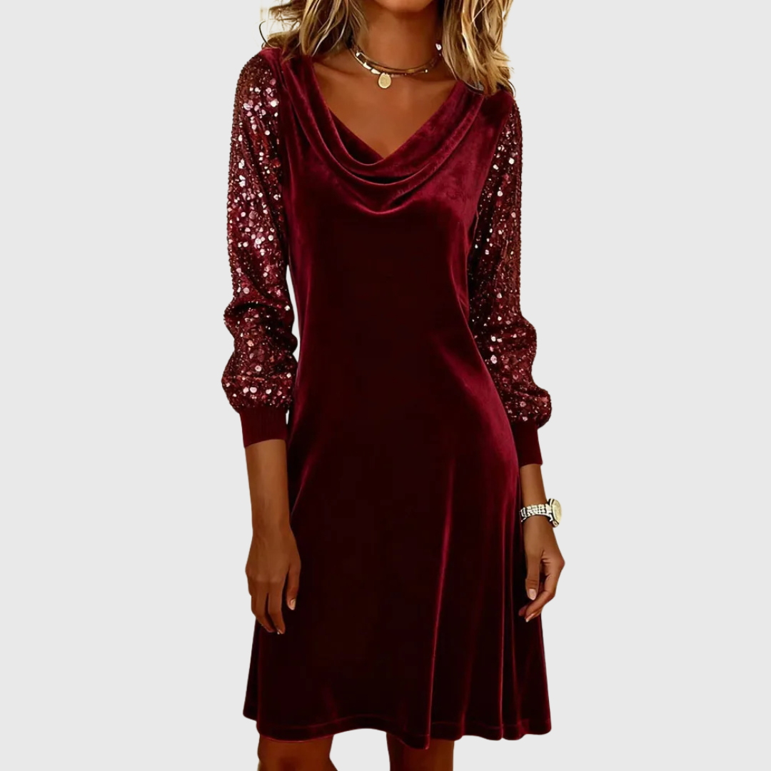 Sophie | Shiny Velvet Sleeve Dress